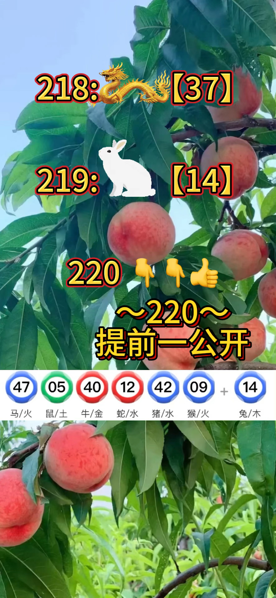 澳门正版资料大全免费网站看2022年的,豪华精英版79.26.45-江GO121,127.13