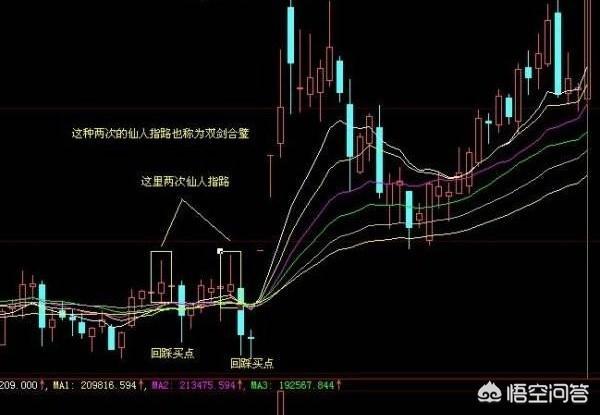 （仙人指路六肖十二码）