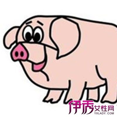 （巧取豪夺打一生肖？）