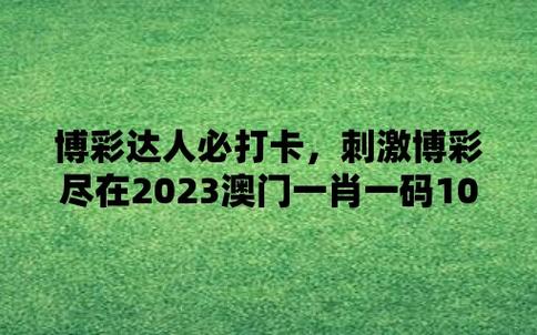 澳门一码一肖100%准确，澳门一码一肖100%准确率查询